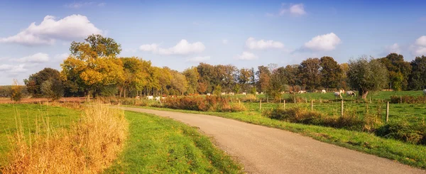 Autumn landscape netherlands — Stock Photo, Image