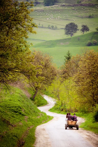 Three Farmers on old wooden cart — Stock Photo, Image