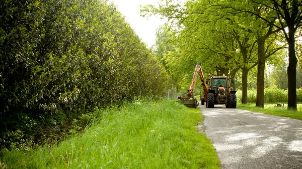 Kaszálás fű vállát és fűnyíró traktor — Stock Fotó