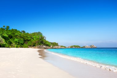 palmiye ağaçları ile tropikal beyaz kum plaj