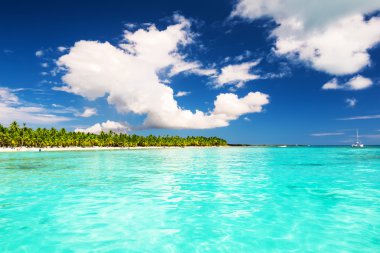 Saona Island, Dominic beyaz kumlu plaj Hindistan cevizi palmiye ağaçlarının