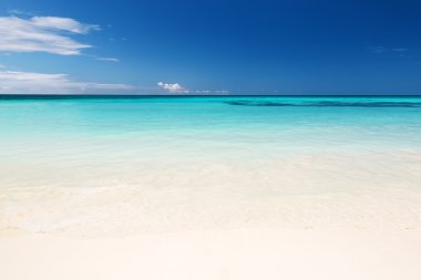 Deniz dalgası kumsalda