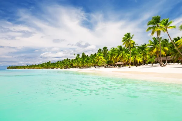 Kokospalmen am weißen Sandstrand — Stockfoto