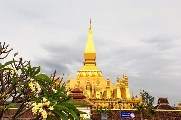 Pha That Luang je zlatý buddhistická stúpa v centru Vient — Stock fotografie