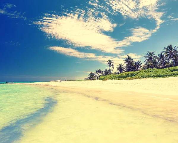 Кокосові пальми на білому піщаному пляжі — стокове фото