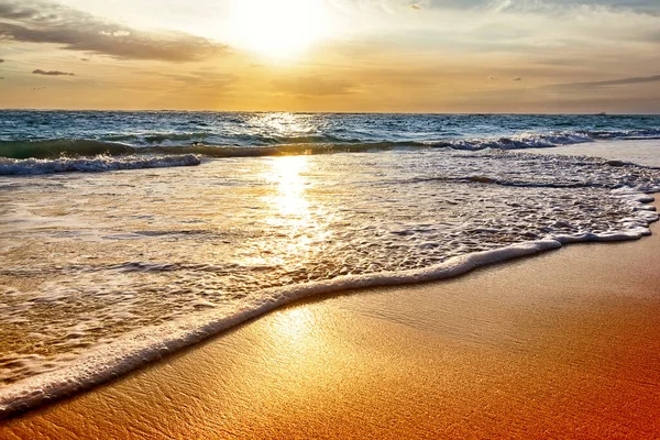 Paradiesischer Tropischer Inselstrand Sonnenaufgang Landschaft Mit Schönem Strand Punta Cana — Stockfoto