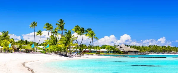 Beautiful White Sandy Beach Cap Cana Dominican Republic Coconut Palm — Stock Photo, Image