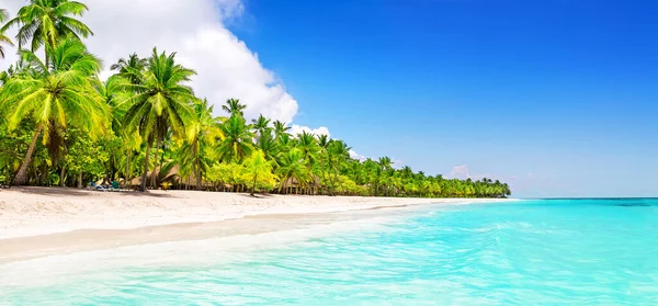 Panorama Von Kokospalmen Weißen Sandstrand Der Insel Saona Dominikanische Republik — Stockfoto