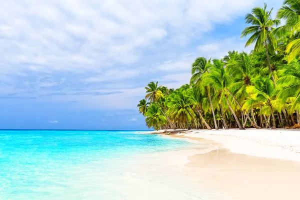 ドミニカ共和国のサオナ島の白い砂浜にヤシの木 休暇の休日の夏の背景 プンタカナの素敵な熱帯ビーチの眺め — ストック写真