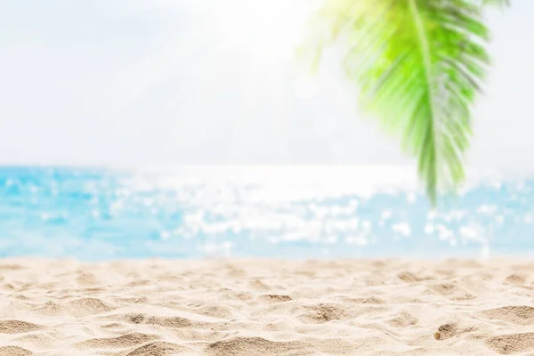 Καρύδα Φύλλο Φοίνικα Κατά Του Μπλε Ουρανού Και Όμορφη Παραλία — Φωτογραφία Αρχείου
