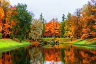 Sonbahar manzarası, düşmüş sarı yapraklı güzel şehir parkı. Renkli ormanlarda gölü olan sonbahar manzarası.