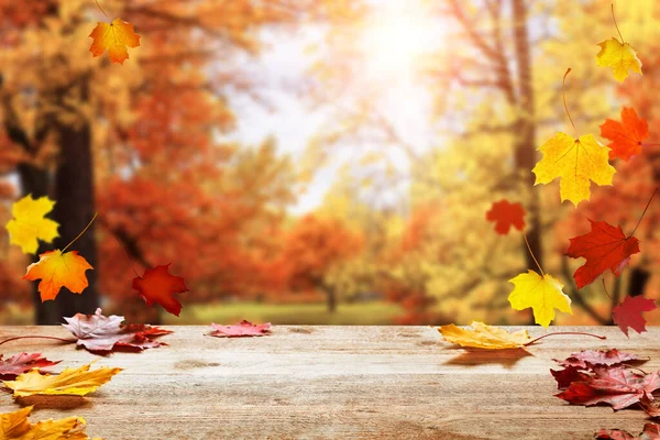 在模糊的秋天背景上的木制桌面 秋天的金黄色公园背景 绿叶斑斓 叶色斑斓 美丽的秋天树叶落在木制表面 — 图库照片