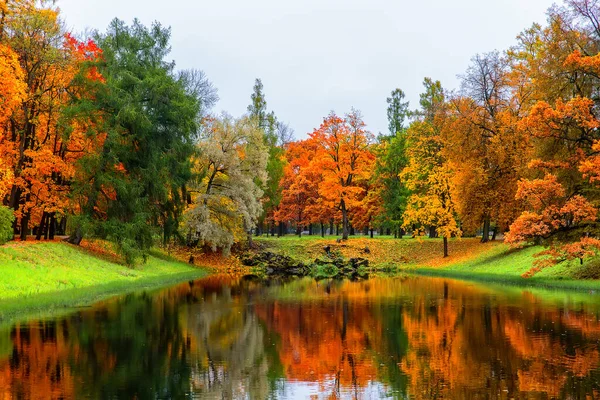 秋の風景 黄色の葉が落ちた美しい都市公園 紅葉の森の中の湖と秋の風景 — ストック写真