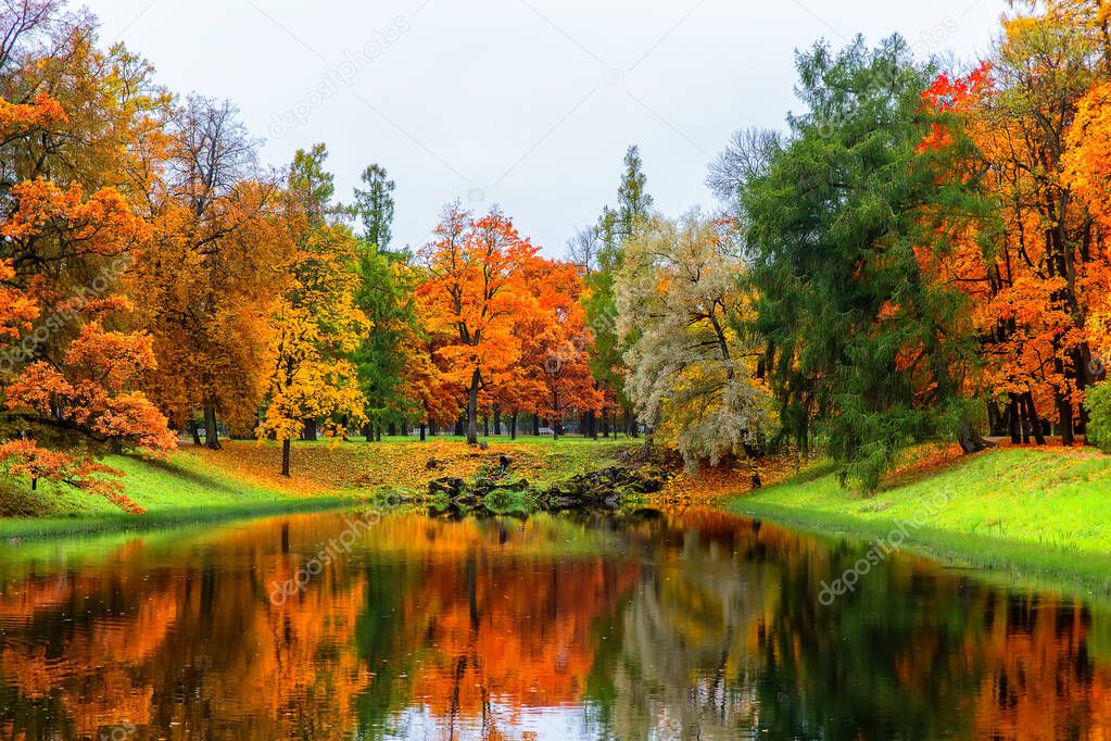 Autumn landscape, beautiful city park with fallen yellow leaves. Autumn scenery with lake in colorful forest.