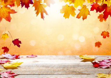 Sonbahar manzarası, düşmüş sarı yapraklı güzel şehir parkı. Güneşli sonbahar parkında parlak yeşilliklere yakın. Sonbahar mevsimi kavramı. Altın sonbahar kartı