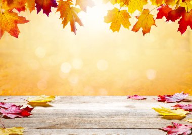 Sonbahar manzarası, düşmüş sarı yapraklı güzel şehir parkı. Güneşli sonbahar parkında parlak yeşilliklere yakın. Sonbahar mevsimi kavramı. Altın sonbahar kartı