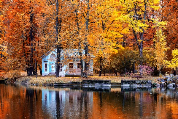 秋の風景 黄色の葉が落ちた美しい都市公園 カラフルな森の中の歩道と秋の風景 — ストック写真