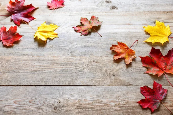 Herbstblätter Auf Holzbrettern Hintergrund Des Herbstes Schöne Herbstblätter Auf Holzgrund — Stockfoto