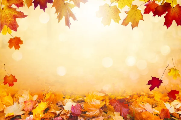 Herbstlandschaft Schöner Stadtpark Mit Abgefallenen Gelben Blättern Nahaufnahme Von Hellem — Stockfoto