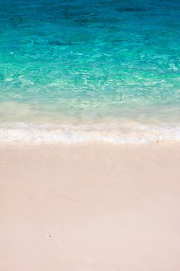 Deniz dalgası kumsalda