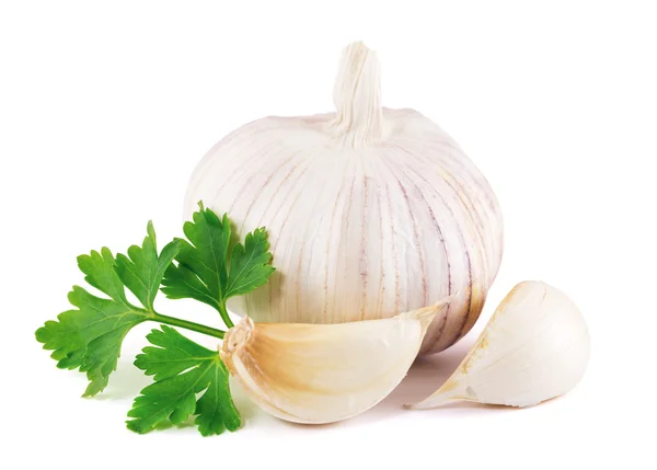 Garlic with parsley leaves on a white background — Stock Photo, Image
