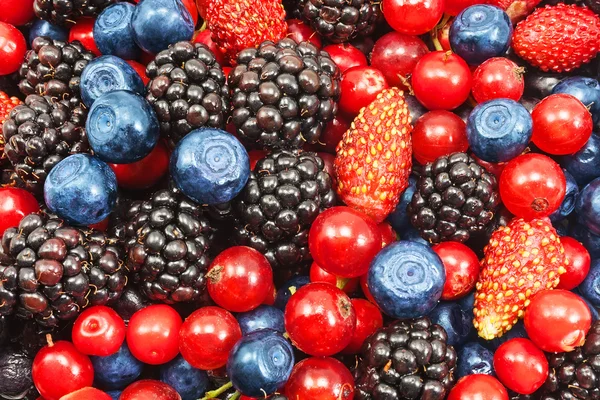 Verschiedene frische Beeren als Hintergrund — Stockfoto