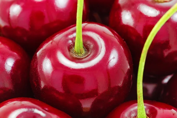 Söta röda körsbär som bakgrund — Stockfoto