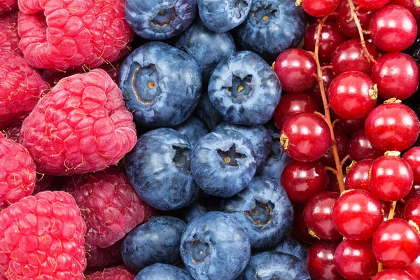 背景として異なる新鮮な果実 — ストック写真