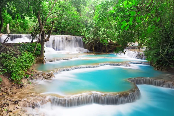 Waterfall in deep rain forest jungle — Stock Photo, Image