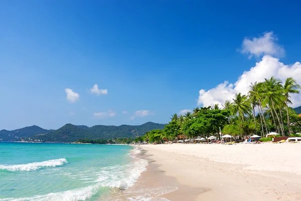 チャウエン ビーチ、サムイ島、タイ観 — ストック写真