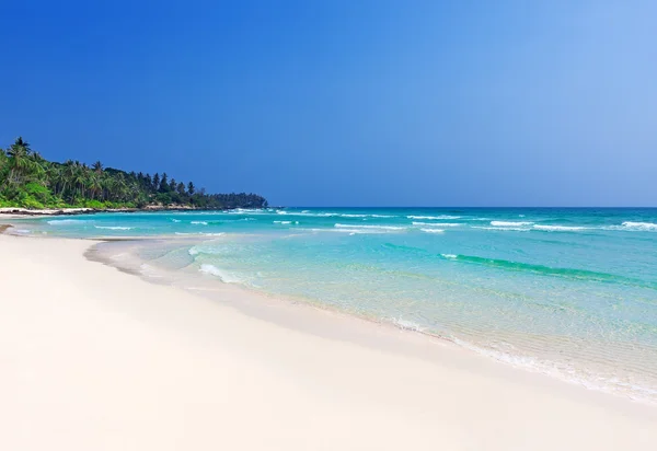 Palmbomen in tropische perfecte strand, Thailand — Stockfoto