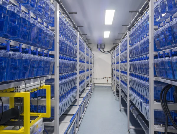 Interior del laboratorio de biología médica — Foto de Stock