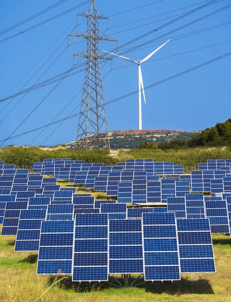 Groene hernieuwbare — Stockfoto