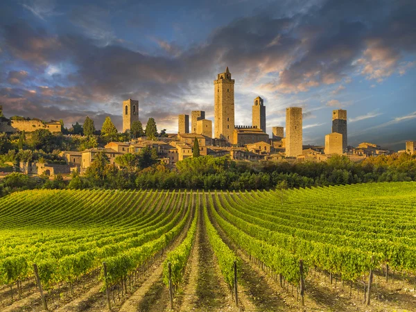 Wijngaard bedekt heuvels van Toscane, Italië — Stockfoto