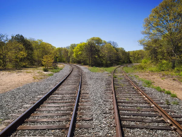 Diverging Track choice concept — Stock Photo, Image