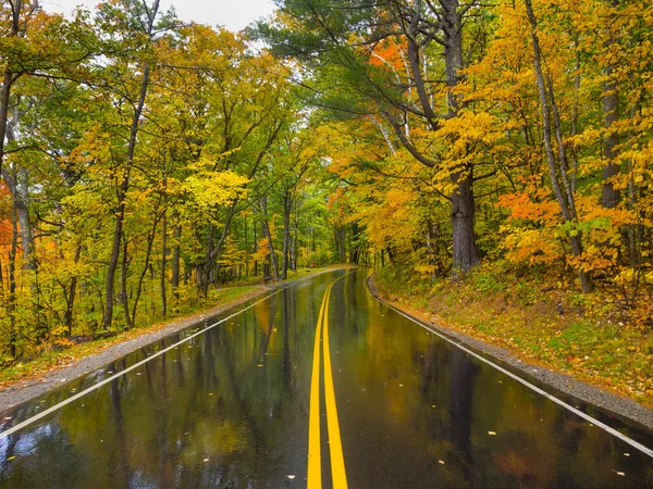 Fall gebladerte landweg — Stockfoto