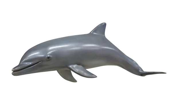 Delfin morze ssak, na białym tle — Zdjęcie stockowe