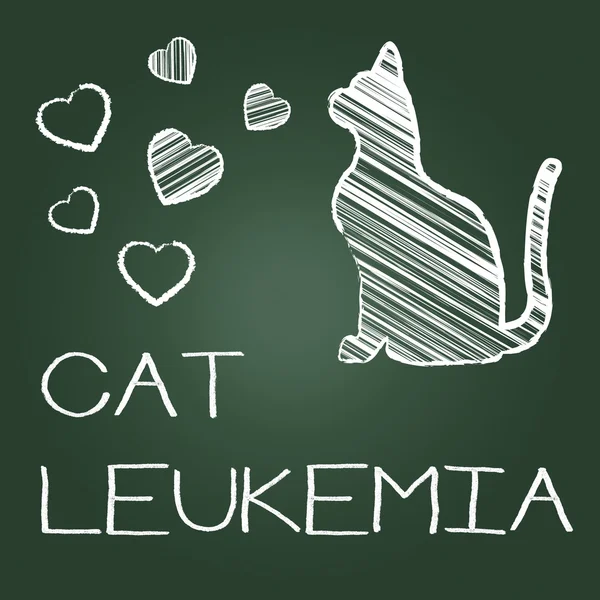 Кішка лейкемії представляє злоякісні племінні і рак — стокове фото