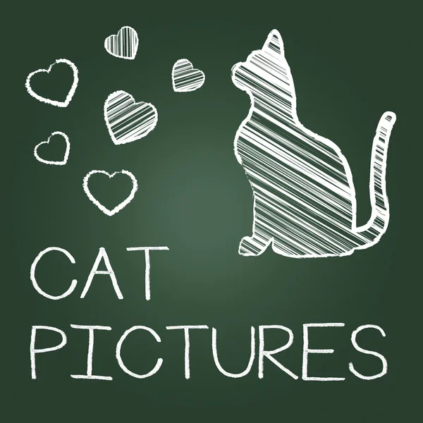 Cat Zdjęcia oznacza Zdjęcia zwierzętom i obrazu — Zdjęcie stockowe