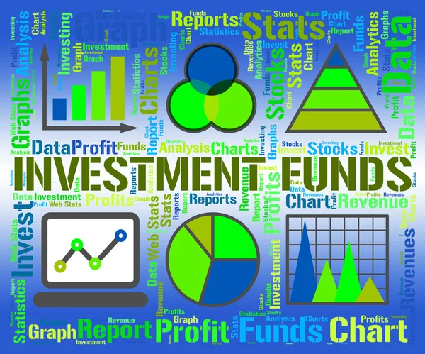 Fonds d'investissement indique graphique d'affaires et graphique — Photo