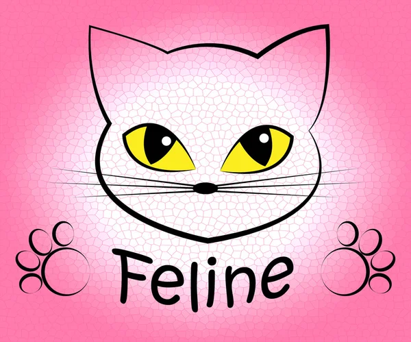 Chat félin signifie animaux de compagnie et félins — Photo