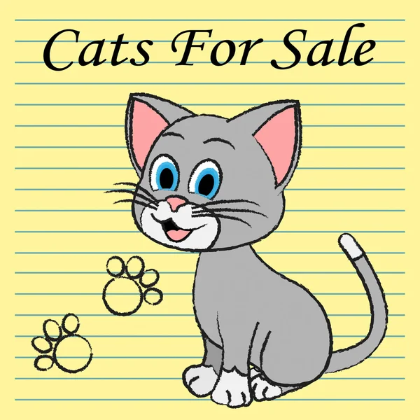 Cats For Sale Means On Market And Buy — Stock Photo, Image