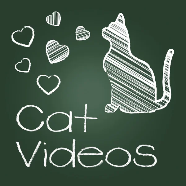 Vidéos de chat représente audiovisuel et chats — Photo