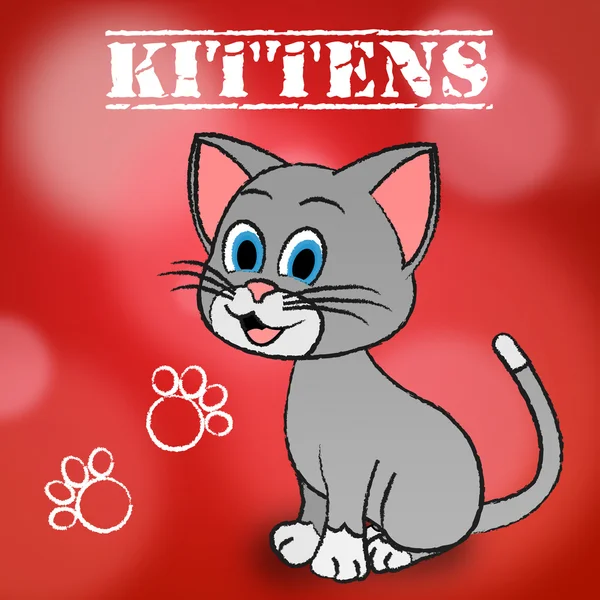 Kittens Word indique chat et chats domestiques — Photo