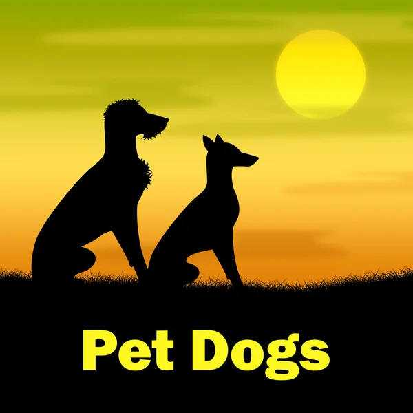Домашние собаки представляют домашних животных и собак — стоковое фото