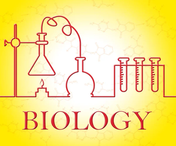 L'esperimento di biologia significa il test e l'indagine del ricercatore — Foto Stock