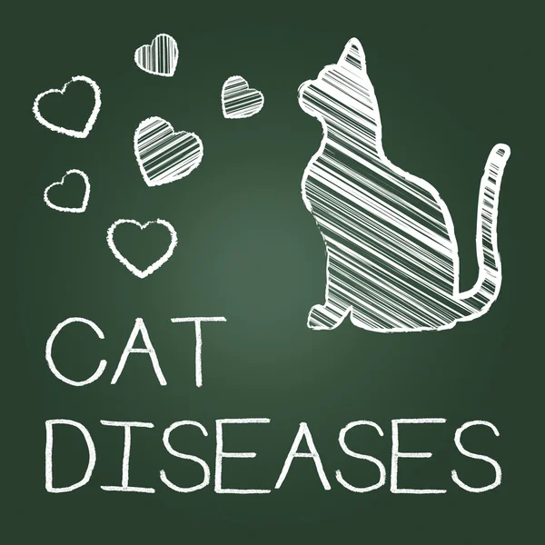 Cat Diseases Indicates Puss Kitten And Kitty — Stock Photo, Image