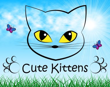 Şirin yavru kedi gösterir yerli kedi ve güzel