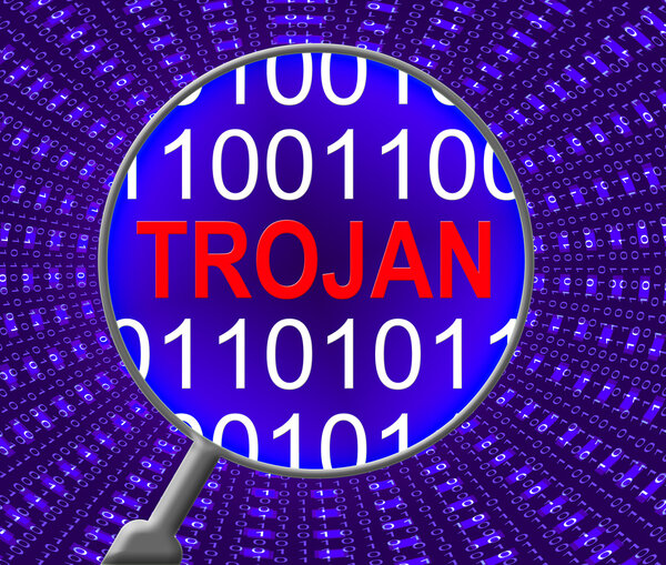 Computer Trojan Indicates Web Site And Communication