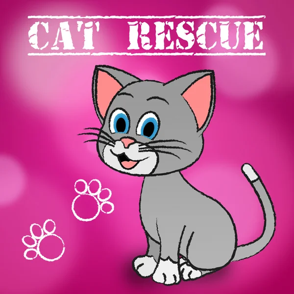 Cat Rescue wskazuje, zwierzęta, zapisywanie i odzyskiwanie — Zdjęcie stockowe